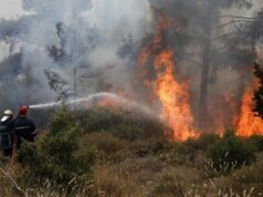 Ξανά πιάνουν δουλειά οι εκλεκτοί του Γεραπετρίτη: Φωτιά πάλι στην Εύβοια