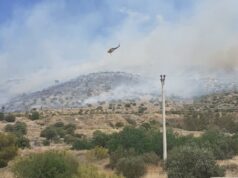 Κάτοικοι Βούλας:Ακούσαμε μία έκρηξη και είδαμε ένα μηχανάκι να φεύγει βιαστικά από το δάσος