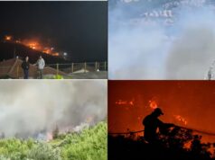 Τα καίνε όλα στην Εύβοια γιατί οι ανεμογεννήτριες περιμένουν