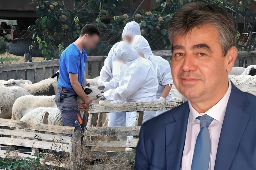 image_editor_output_image-778562449-1762029765808