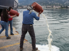 Μισούν τους Έλληνες και θέλουν να τους αφανίσουν – Δεκάδες καταγγελίες από τη Λέσβο για τις θανατώσεις των ζώων – Ξεπέρασαν τις 10.000 – «Όλα γίνονται για την εξαγωγή της φέτας» λένε οι κτηνοτρόφοι