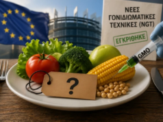 Μεταλλαγμένα τρόφιμα στο πιάτο των Ελλήνων με ψήφο του Μητσοτάκη – Ναι στο «ξέφραγο αμπέλι» ψήφισε ο Σχοινάς με αποτέλεσμα να απειλούνται με σοβαρές επιπτώσεις στην υγεία τους ακόμα και μικρά παιδιά