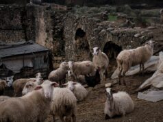 Δουλεύει τον κόσμο ο Μητσοτάκης – Αφθώδης πυρετός στη Λέσβο: Αναστολή φορολογικών υποχρεώσεων και απαλλαγή από δημοτικά τέλη στους πληγέντες