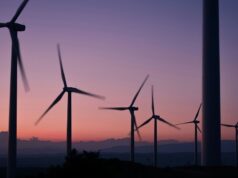Στα «χαρακώματα» για την ενέργεια: Πολιτείες των ΗΠΑ μηνύουν την κυβέρνηση Τραμπ για μπλόκο σε αιολικό-μαμούθ
