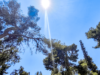 Καιρός: Καύσωνας 72 ωρών – Οι περιοχές που επηρεάζονται