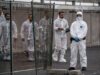 Συναγερμός στη Χιλή: Δεκάδες κρούσματα χανταϊού – Φόβοι για εξάπλωση του φονικού ιού
