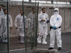 Συναγερμός στη Χιλή: Δεκάδες κρούσματα χανταϊού – Φόβοι για εξάπλωση του φονικού ιού