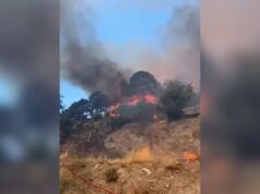Λέσβος: Μεγάλη φωτιά τώρα στο Πλωμάρι – 112 για ετοιμότητα