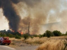 Ανεξέλεγκτη φωτιά στην περιοχή Αδάμι – Ενισχύονται οι πυροσβεστικές δυνάμεις