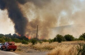 Ανεξέλεγκτη φωτιά στην περιοχή Αδάμι – Ενισχύονται οι πυροσβεστικές δυνάμεις