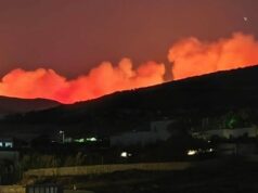 Μάχη με τις φλόγες στην Πάρο: Εκκενώθηκαν 9 οικισμοί – Φόβοι για ενίσχυση ανέμων