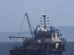 Κοιμάται όρθιος ο Μητσοτάκης: Τουρκικές μηχανότρατες αλιεύουν παράνομα και ανενόχλητα επί μία εβδομάδα σε ελληνικά ύδατα