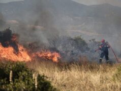 Πύρινος εφιάλτης στα Μέγαρα: Εκκενώνονται Κανδήλι, Άνω Βλυχάδα, Άγιος Κωνσταντίνος, ΒΙΠΕ Μεγάρων