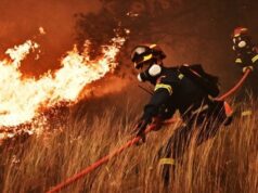Φωτιά σε Αττική-Βοιωτία: Ξεκίνησαν ρίψεις τα αεροσκάφη– Τιτάνια μάχη στο τρίγωνο Ψάθα, Βένιζα, Άγιος Νεκτάριος–Αγία Παρασκευή