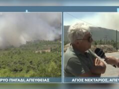 Πύρινη λαίλαπα στο Πόρτο Γερμενό: «Κάηκε το σπίτι μου, δεν έχω πού να μείνω»-Κραυγή απόγνωσης