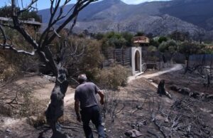 Φωτιά στη Δυτική Αττική: Μάχη με τις αναζωπυρώσεις- Διάσπαρτες εστίες, αποκαρδιωτικές εικόνες από τα καμένα