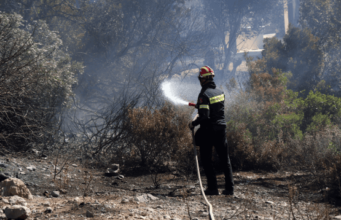 Πυρά Εποχικών κατά Τουρνά: Διαφήμιζαν ότι το Σώμα έχει 19.000 πυροσβέστες και κόβουν άδειες μονίμων